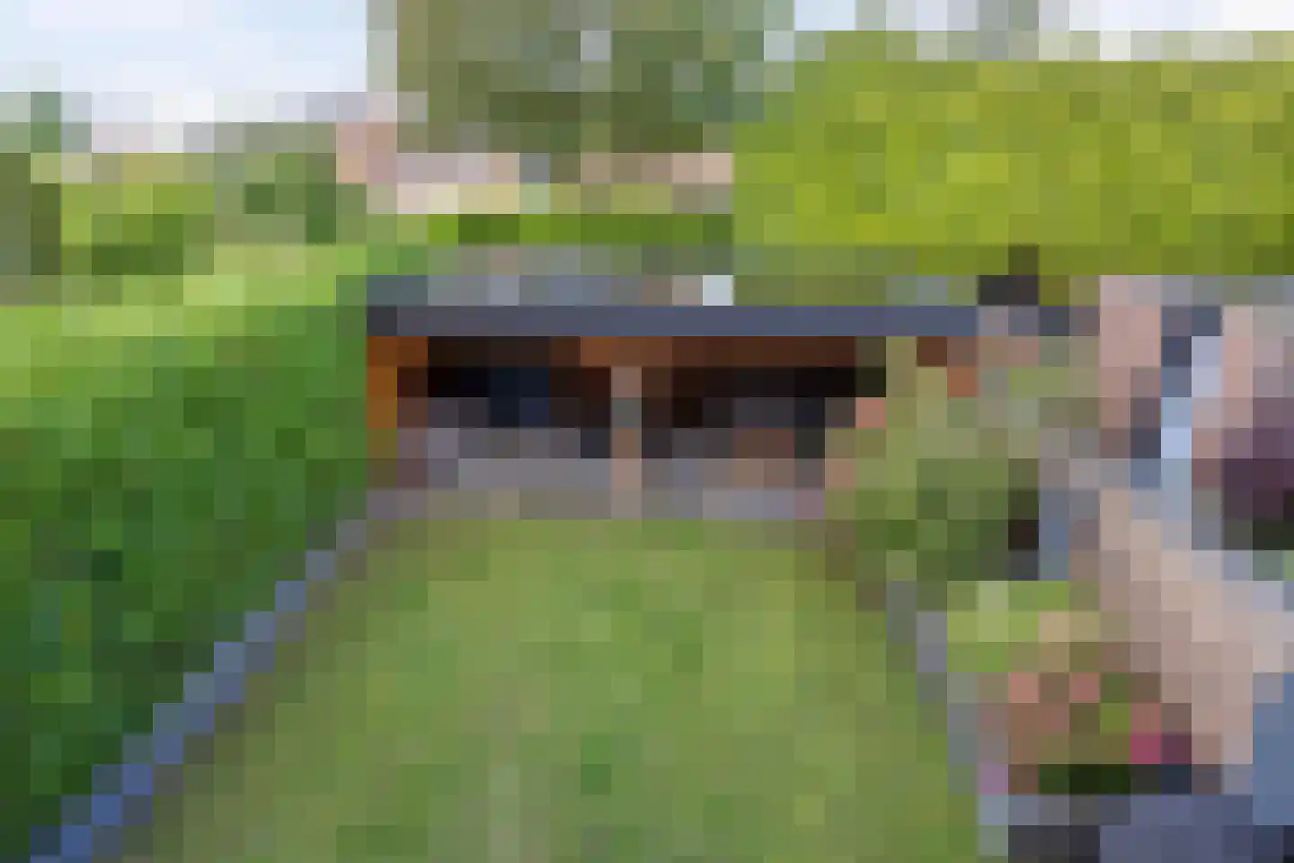 Sterreschans 35 Prinsenbeek thumbnail 31