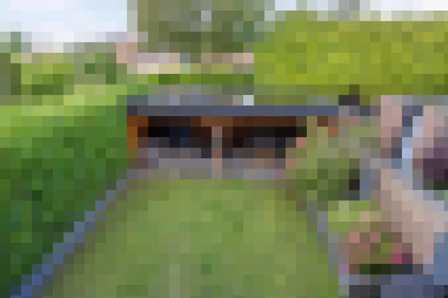 Sterreschans 35 Prinsenbeek thumbnail 31