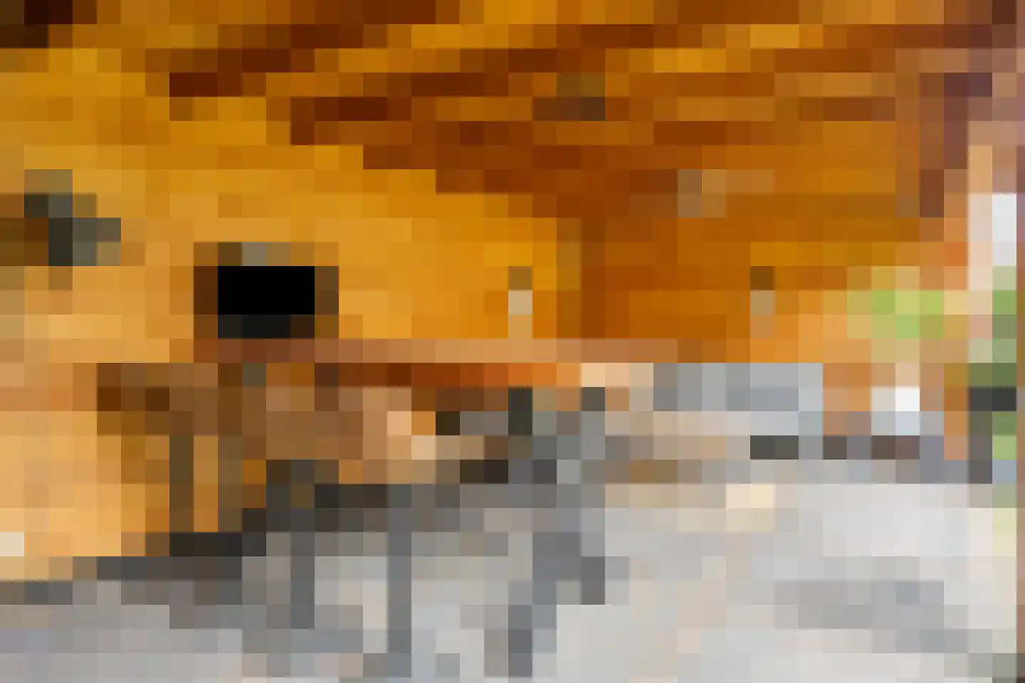 Sterreschans 35 Prinsenbeek thumbnail 37