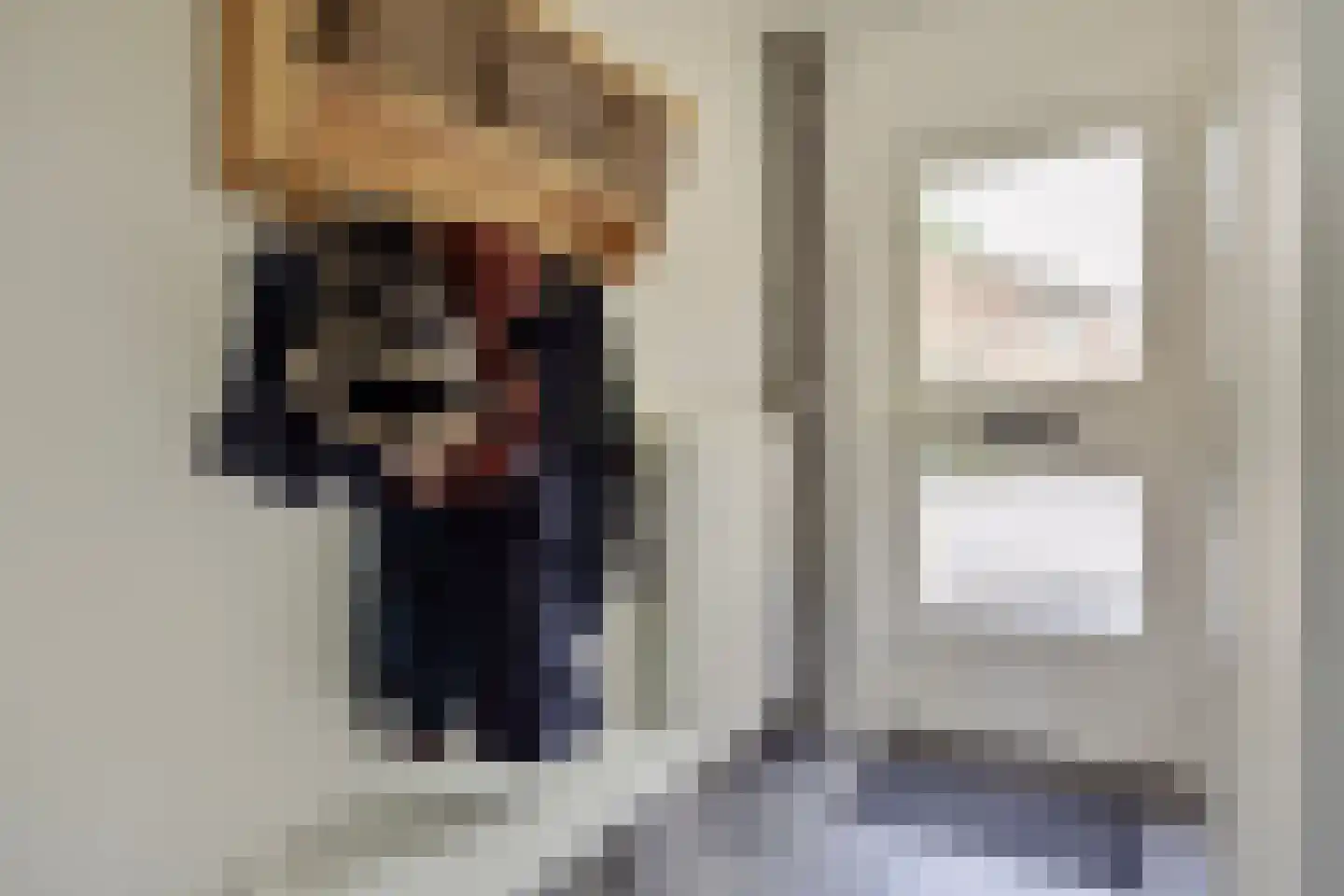 Sterreschans 35 Prinsenbeek thumbnail 39