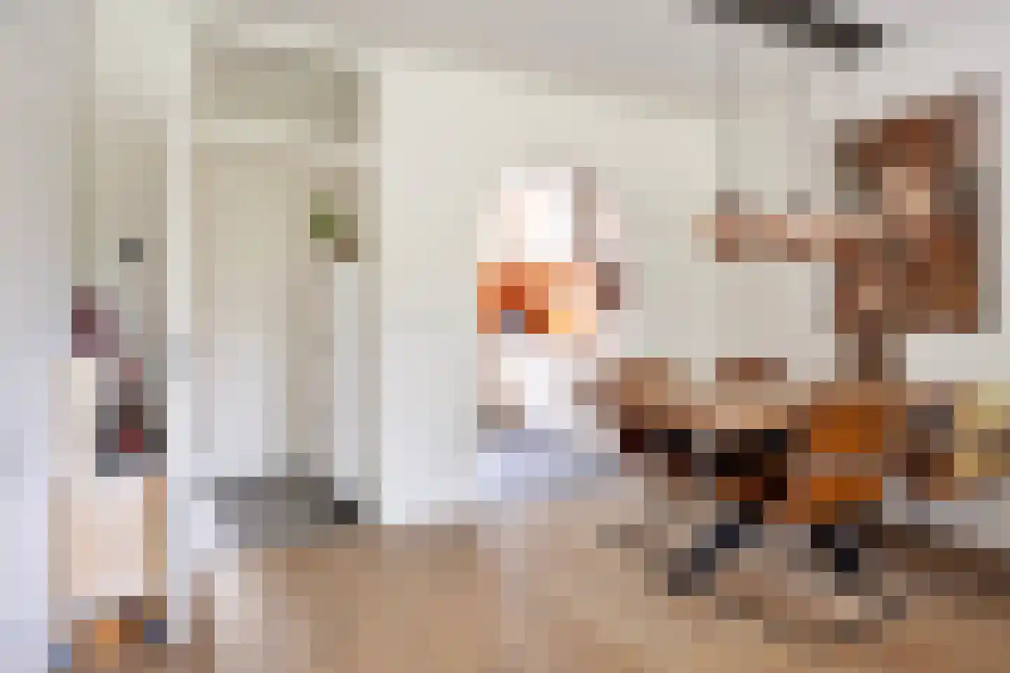 Sterreschans 35 Prinsenbeek thumbnail 8
