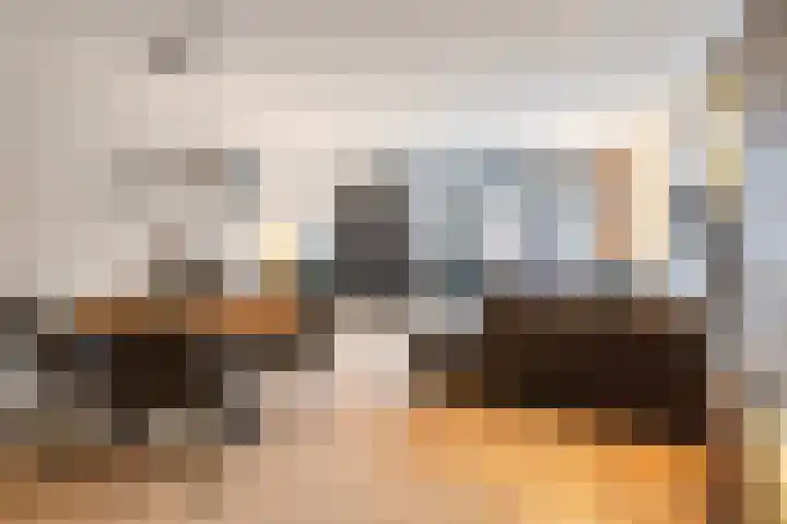 Sterreschans 361 Oegstgeest thumbnail 10