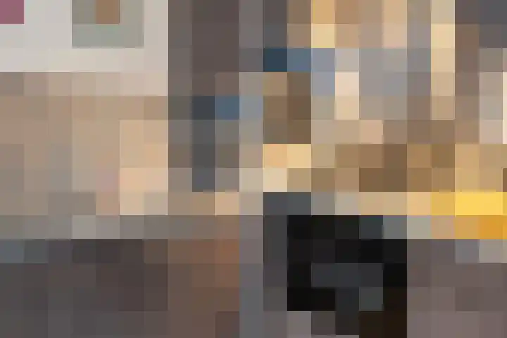 Sterreschans 361 Oegstgeest thumbnail 12