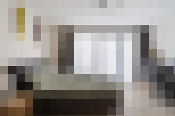 Sterreschans 361 Oegstgeest thumbnail 13