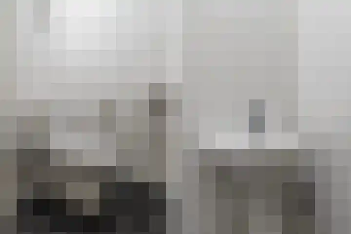 Sterreschans 361 Oegstgeest thumbnail 19