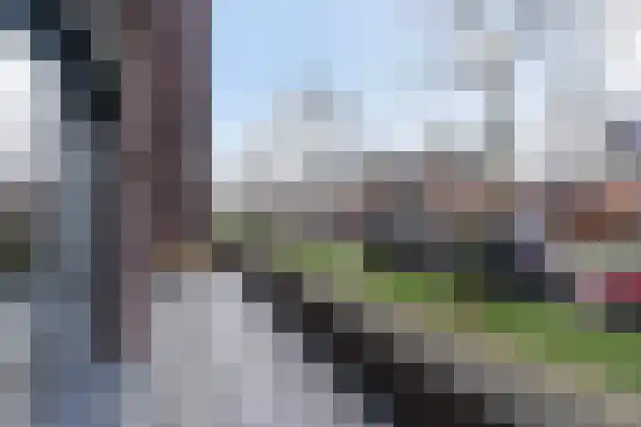 Sterreschans 361 Oegstgeest thumbnail 20