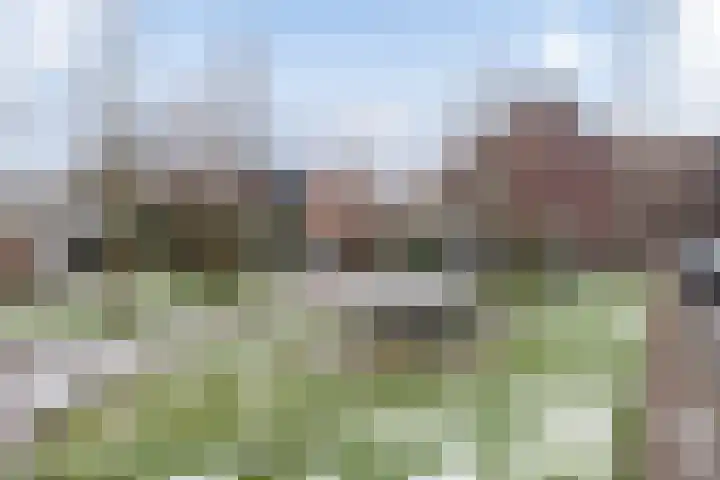 Sterreschans 361 Oegstgeest thumbnail 27