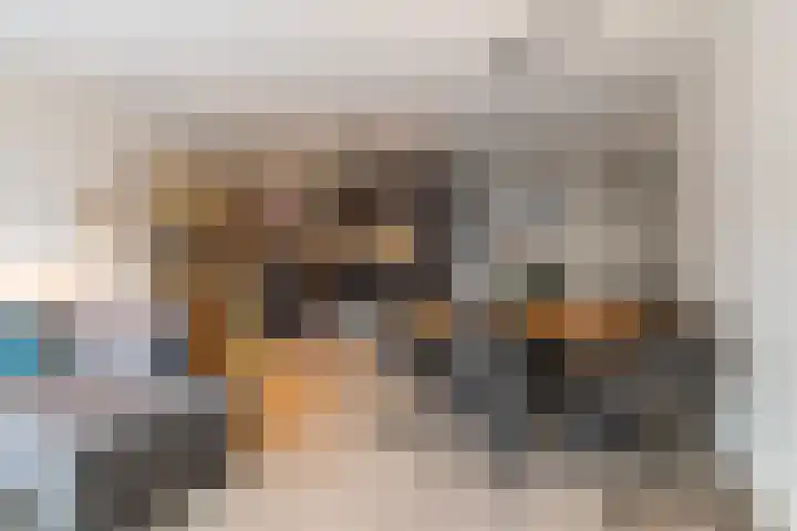 Sterreschans 361 Oegstgeest thumbnail 7