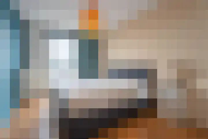 Sterreschans 399 Oegstgeest thumbnail 11