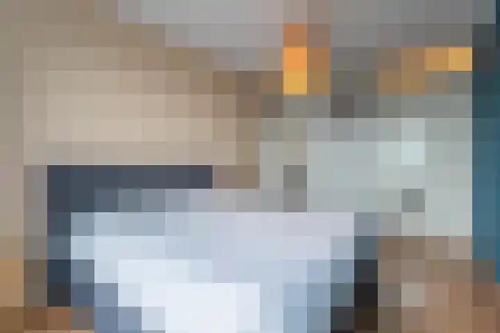 Sterreschans 399 Oegstgeest thumbnail 12