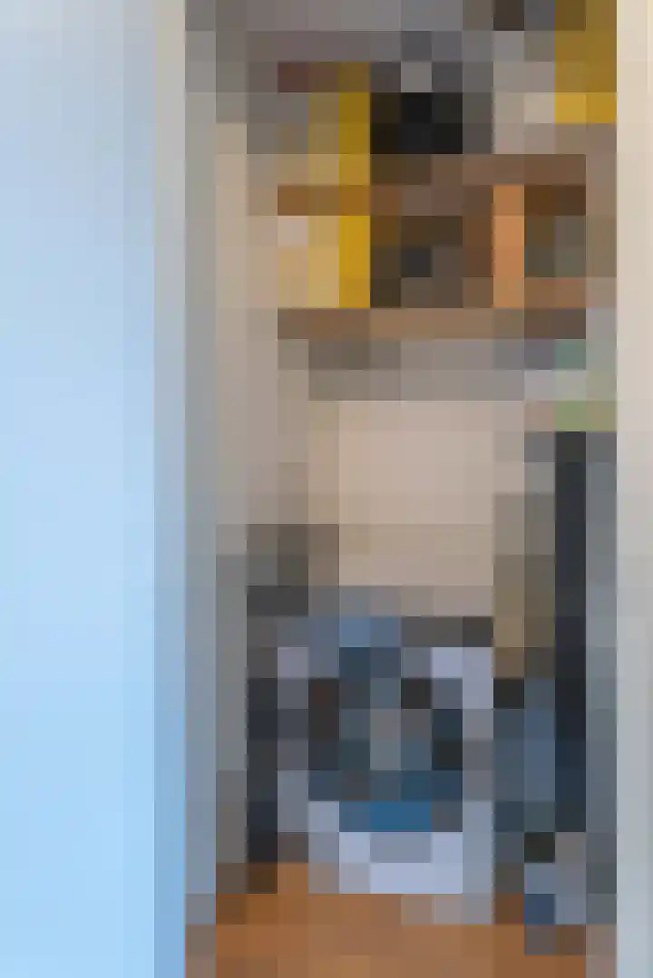 Sterreschans 399 Oegstgeest thumbnail 18