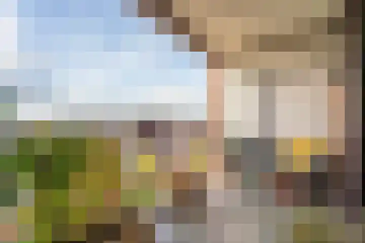 Sterreschans 399 Oegstgeest thumbnail 20