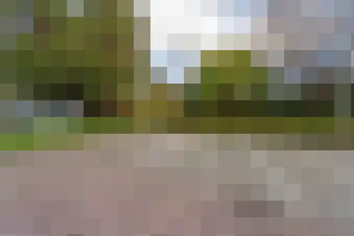 Sterreschans 399 Oegstgeest thumbnail 23