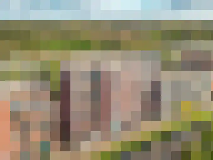 Sterreschans 399 Oegstgeest thumbnail 24
