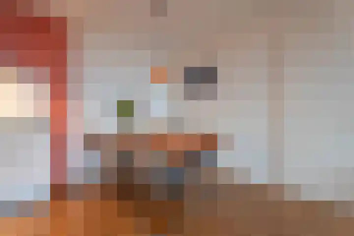 Sterreschans 399 Oegstgeest thumbnail 8