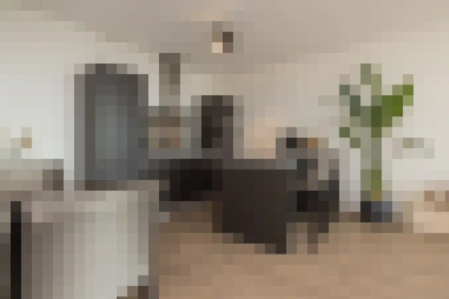 Sterreschans 409 Oegstgeest thumbnail 11