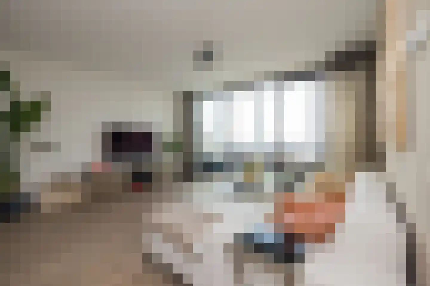 Sterreschans 409 Oegstgeest thumbnail 9