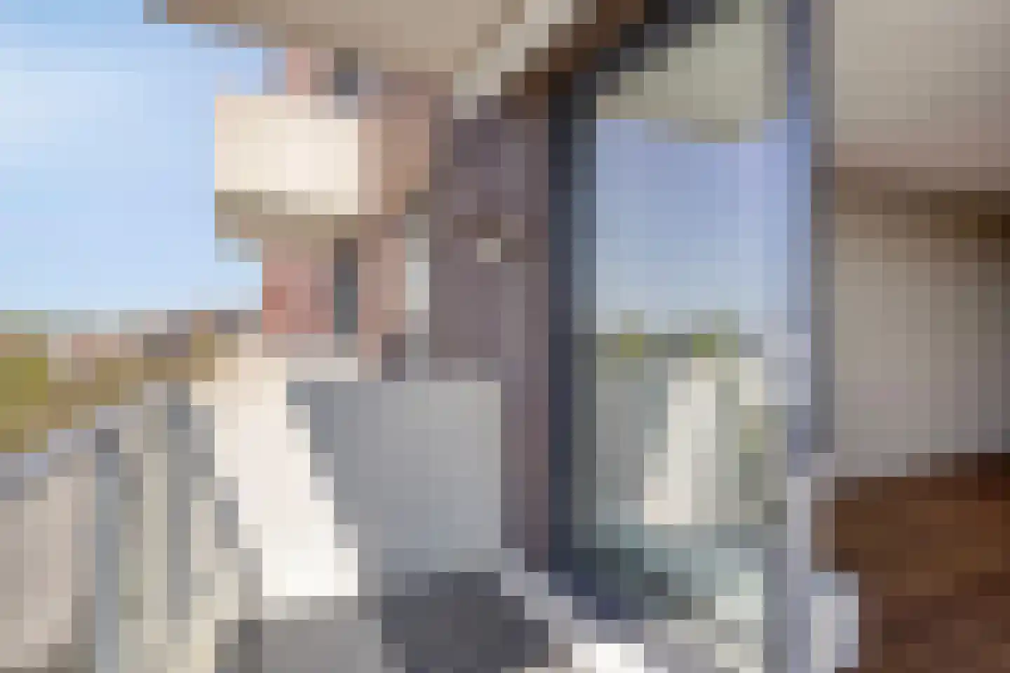 Sterreschans 447 Oegstgeest thumbnail 12