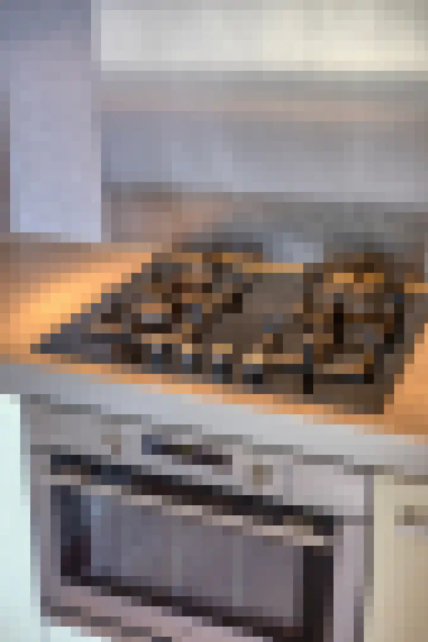 Sterreschans 447 Oegstgeest thumbnail 18