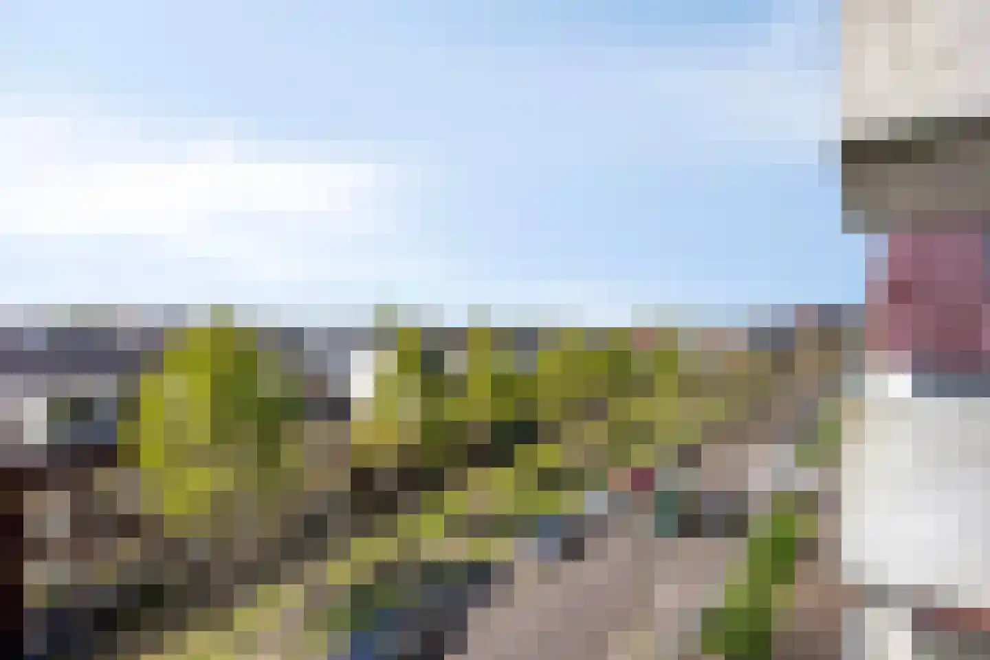 Sterreschans 447 Oegstgeest thumbnail 36
