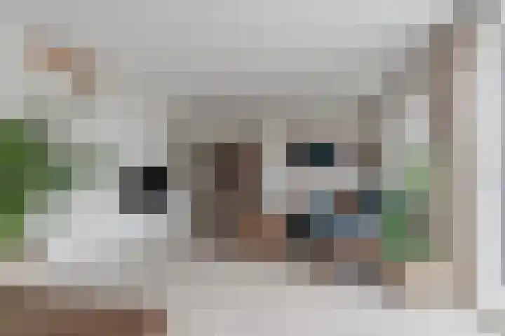 Sterreschans 475 Oegstgeest thumbnail 13