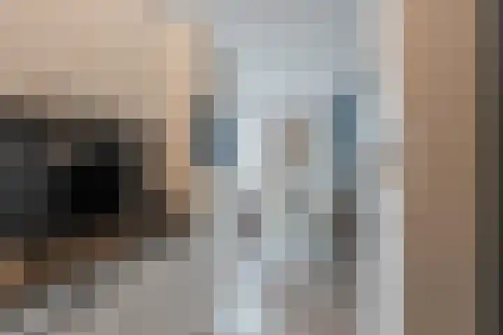 Sterreschans 475 Oegstgeest thumbnail 17