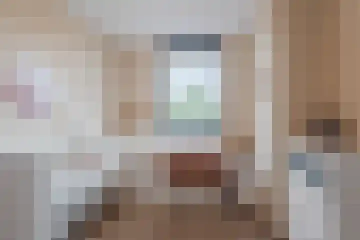 Sterreschans 475 Oegstgeest thumbnail 23