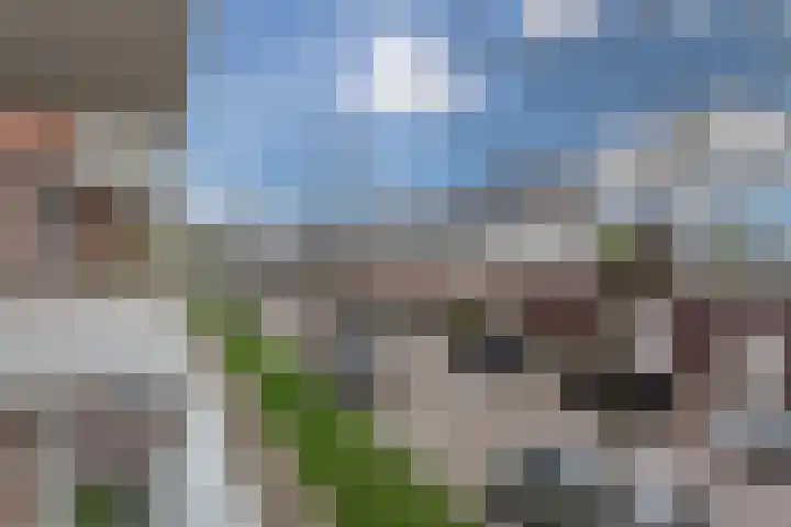 Sterreschans 475 Oegstgeest thumbnail 32