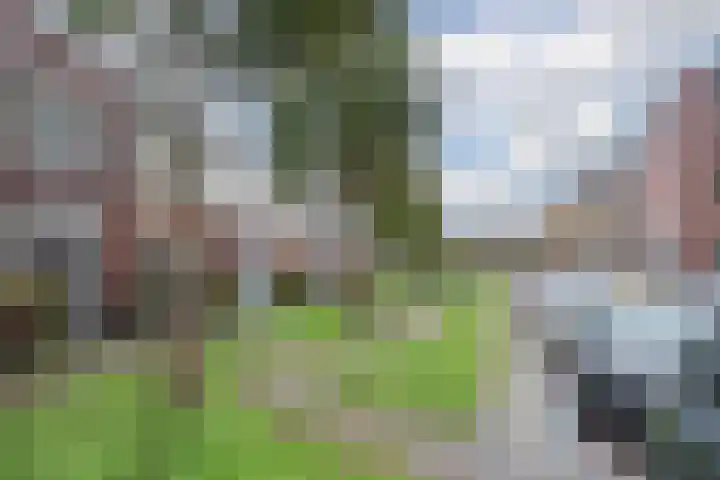 Sterreschans 475 Oegstgeest thumbnail 38