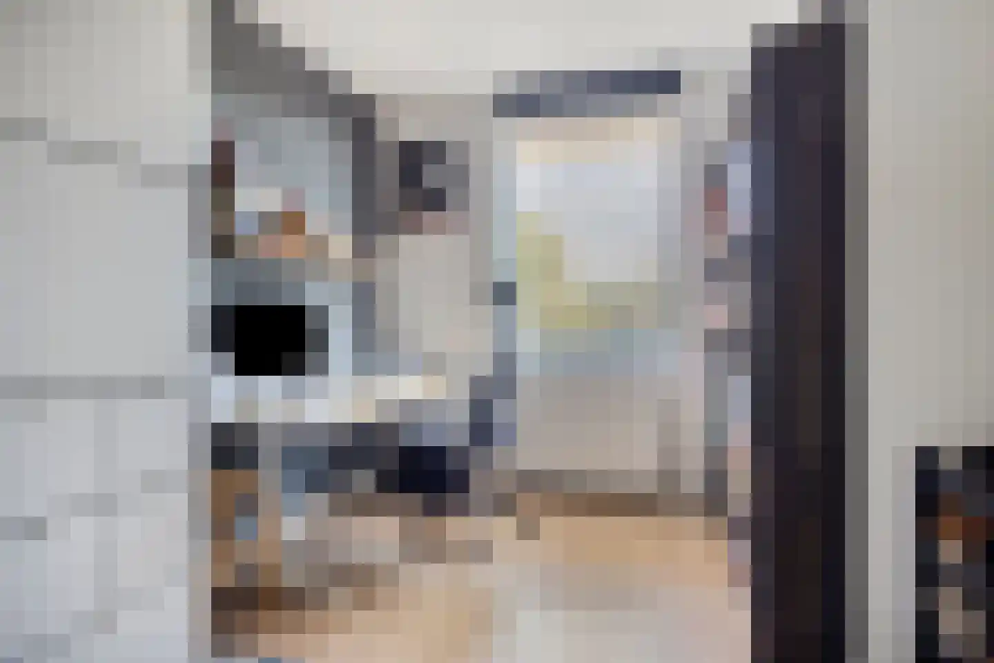 Sterreschans 477 Oegstgeest thumbnail 12