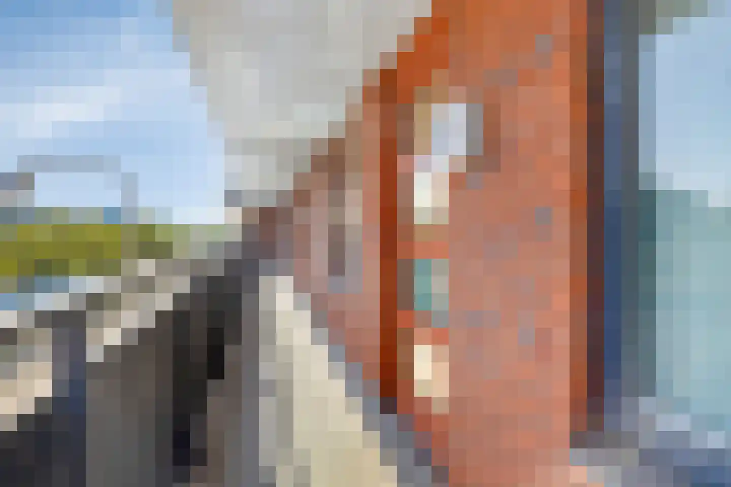 Sterreschans 477 Oegstgeest thumbnail 7