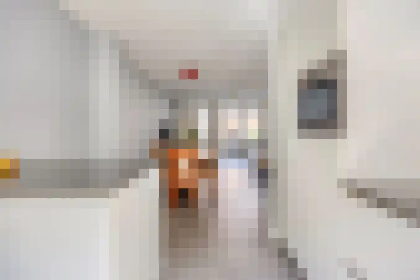 Sterreschans 48 Oegstgeest thumbnail 7
