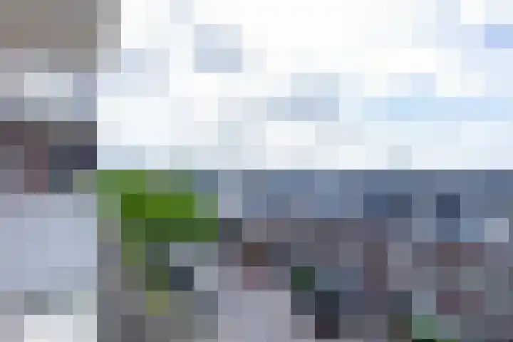 Sterreschans 513 Oegstgeest thumbnail 13