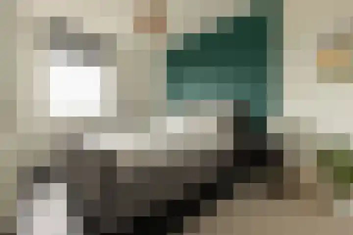 Sterreschans 513 Oegstgeest thumbnail 17