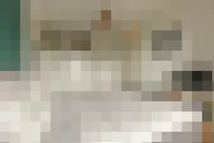 Sterreschans 513 Oegstgeest thumbnail 18