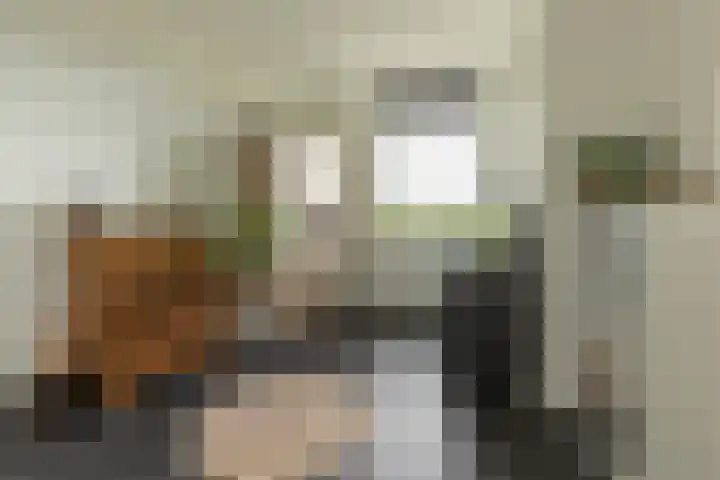 Sterreschans 513 Oegstgeest thumbnail 19