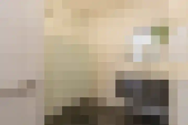 Sterreschans 513 Oegstgeest thumbnail 22