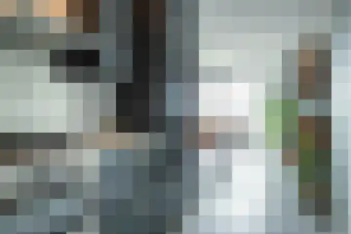 Sterreschans 513 Oegstgeest thumbnail 8