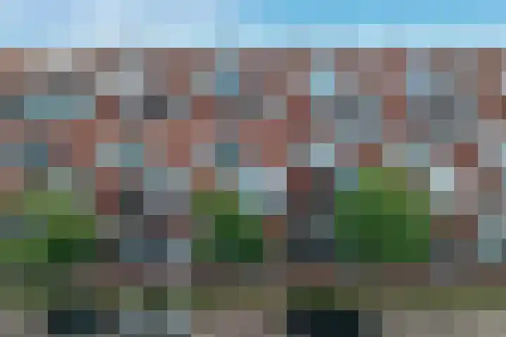Sterreschans 523 Oegstgeest thumbnail 35