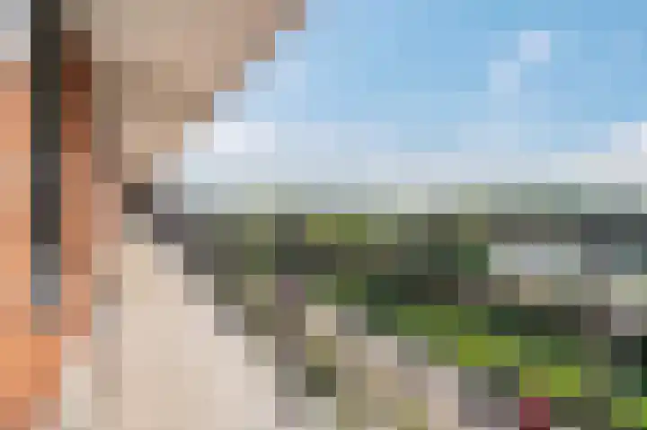 Sterreschans 523 Oegstgeest thumbnail 8