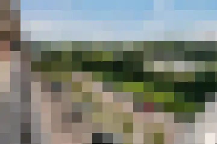 Sterreschans 523 Oegstgeest thumbnail 9