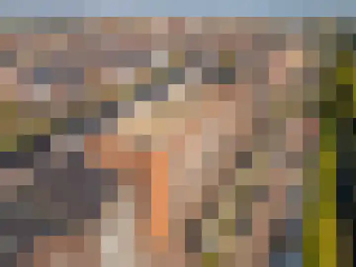 Sterreschans 529 Oegstgeest thumbnail 21
