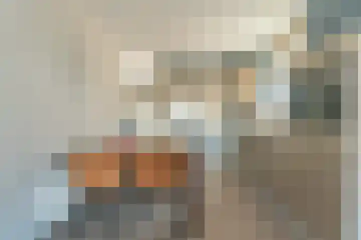 Sterreschans 529 Oegstgeest thumbnail 5