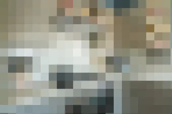 Sterreschans 529 Oegstgeest thumbnail 6