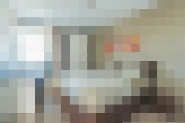 Sterreschans 529 Oegstgeest thumbnail 8