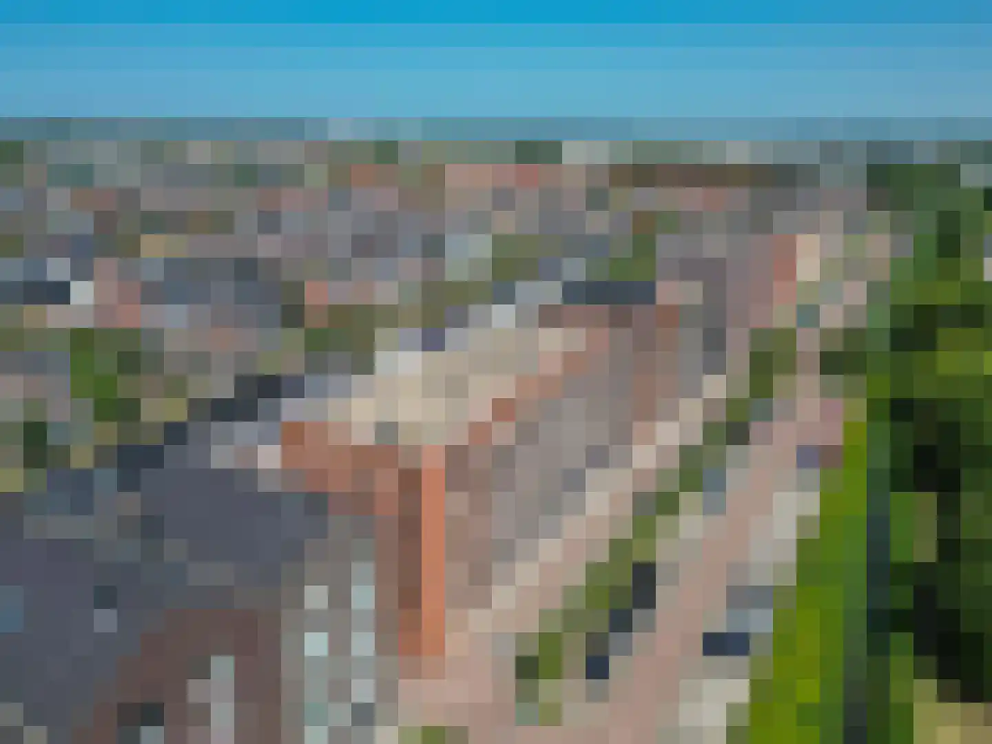 Sterreschans 539 Oegstgeest thumbnail 30