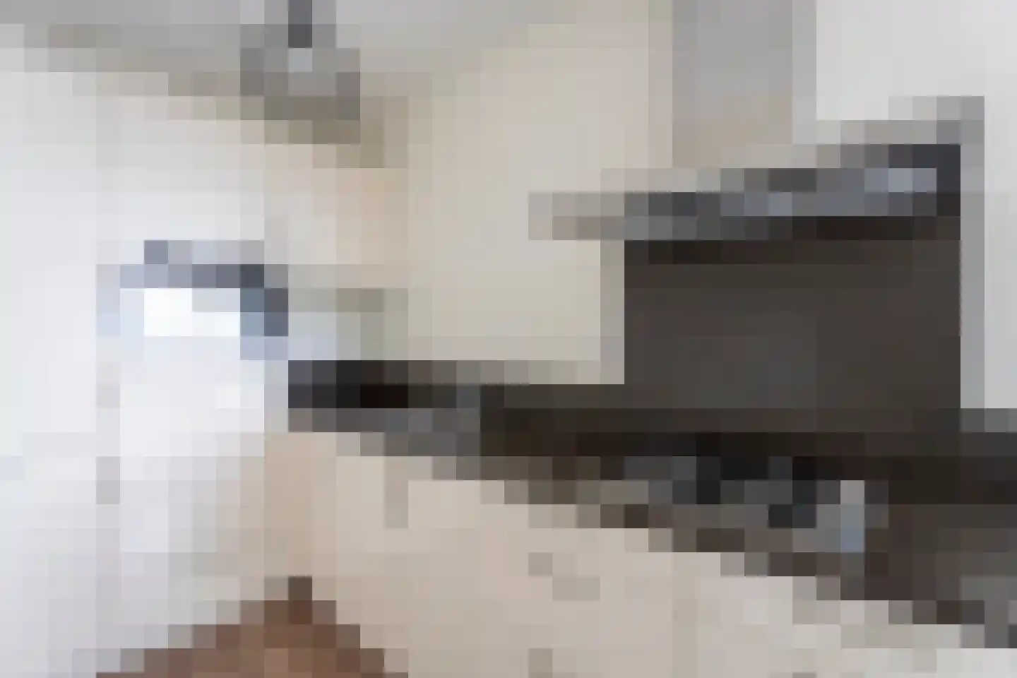 Sterreschans 539 Oegstgeest thumbnail 8