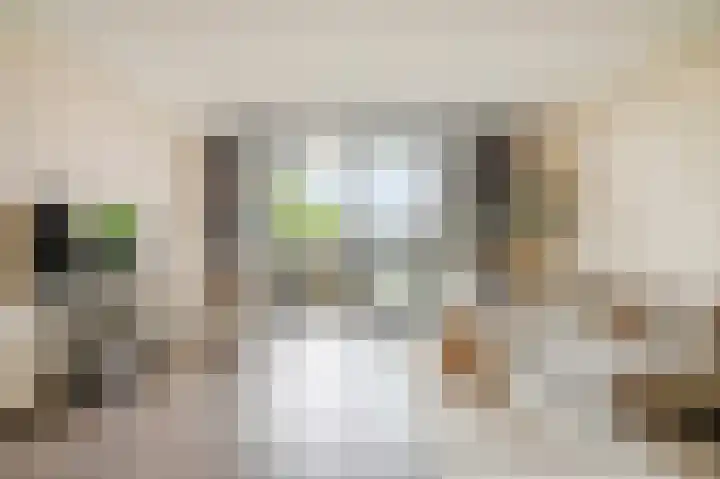 Sterreschans 561 Oegstgeest thumbnail 10