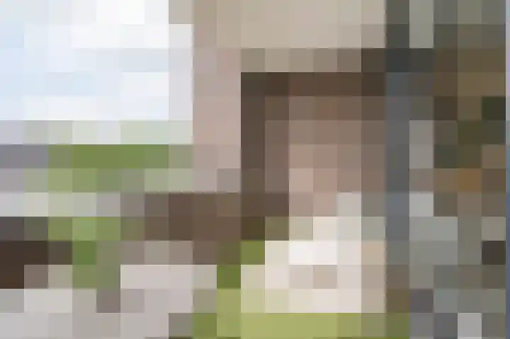 Sterreschans 561 Oegstgeest thumbnail 11