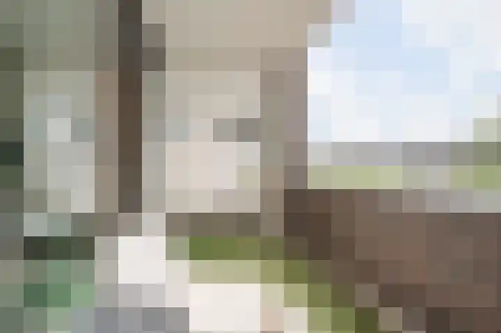 Sterreschans 561 Oegstgeest thumbnail 12